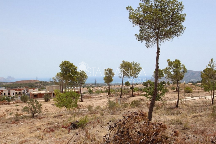 Commercial - Sale - Benidorm - O-001545